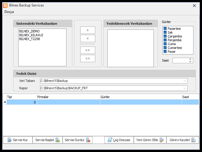 Bilnex Backup Service